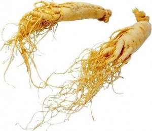 ginseng