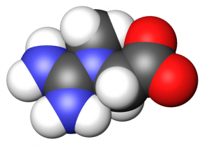 Creatine 3d